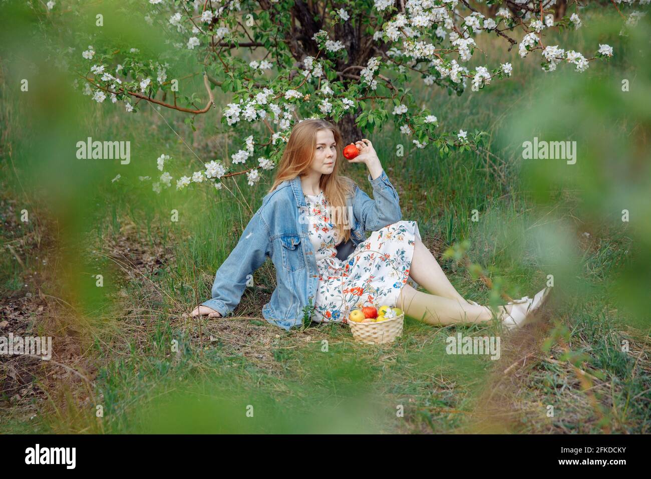 Eine junge Frau in einer blauen Denim-Jacke sitzt auf einer Lichtung. Stockfoto