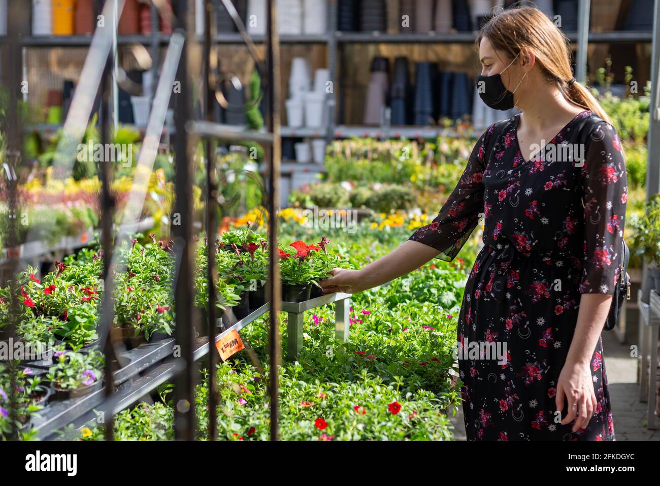 Sarajevo, Bosnien und Herzegowina - 27.04.2021: Frau, die nach der Wiedereröffnung Blumen für den Garten im Gewächshaus einkauft, nach der 19. Sperre Stockfoto