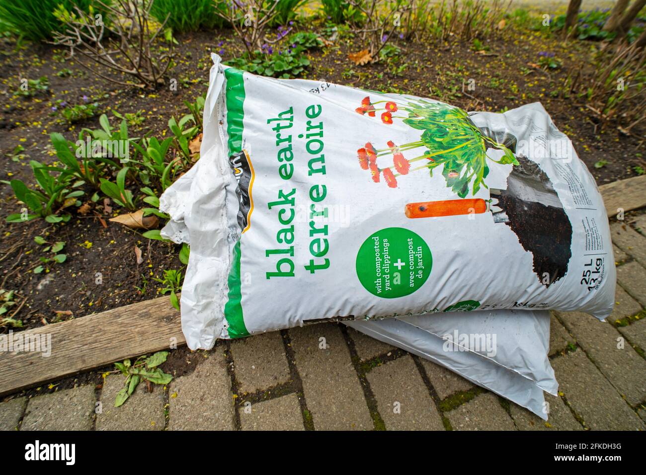 Beutel mit Gartenerde, Schwarzer Boden, Erde, Erde für Garten, mit kompostiert Gartenschnitt Stockfoto