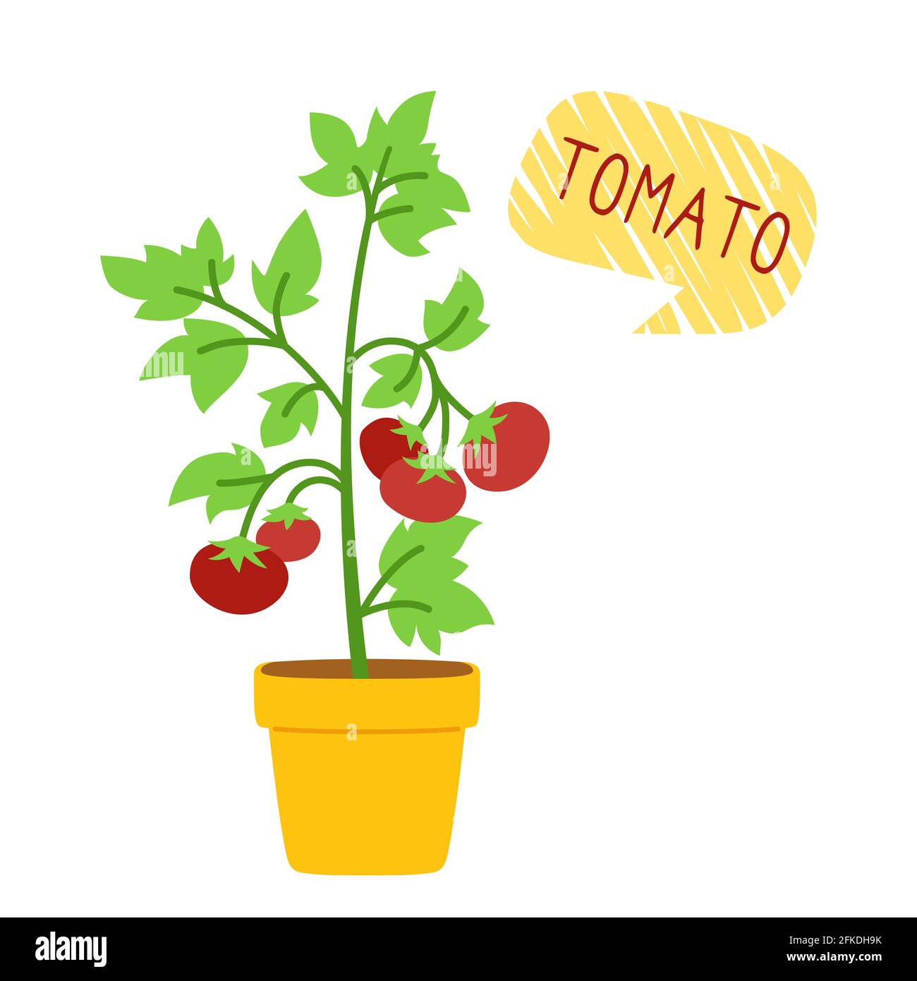 Tomatenbusch im Topf für Zimmerpflanzen flache Cartoon-Karte. Bio-Tomatenpflanzen mit Sprechblase. Topftomaten Sämlinge, Pflanzen Stadtfarm, Landwirtschaft. Isolierte Vektordarstellung Stock Vektor