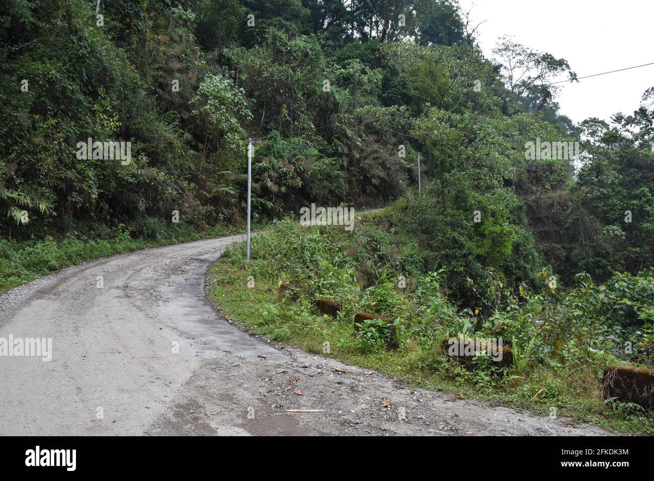 Eine kurvige Asphaltstraße im hügeligen Wald. Stockfoto