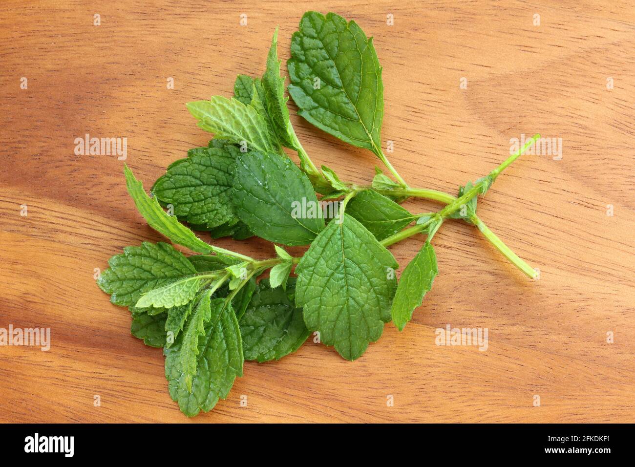 Frisch gepflückte Zitronenmelisse auf einem Holzhintergrund Stockfoto