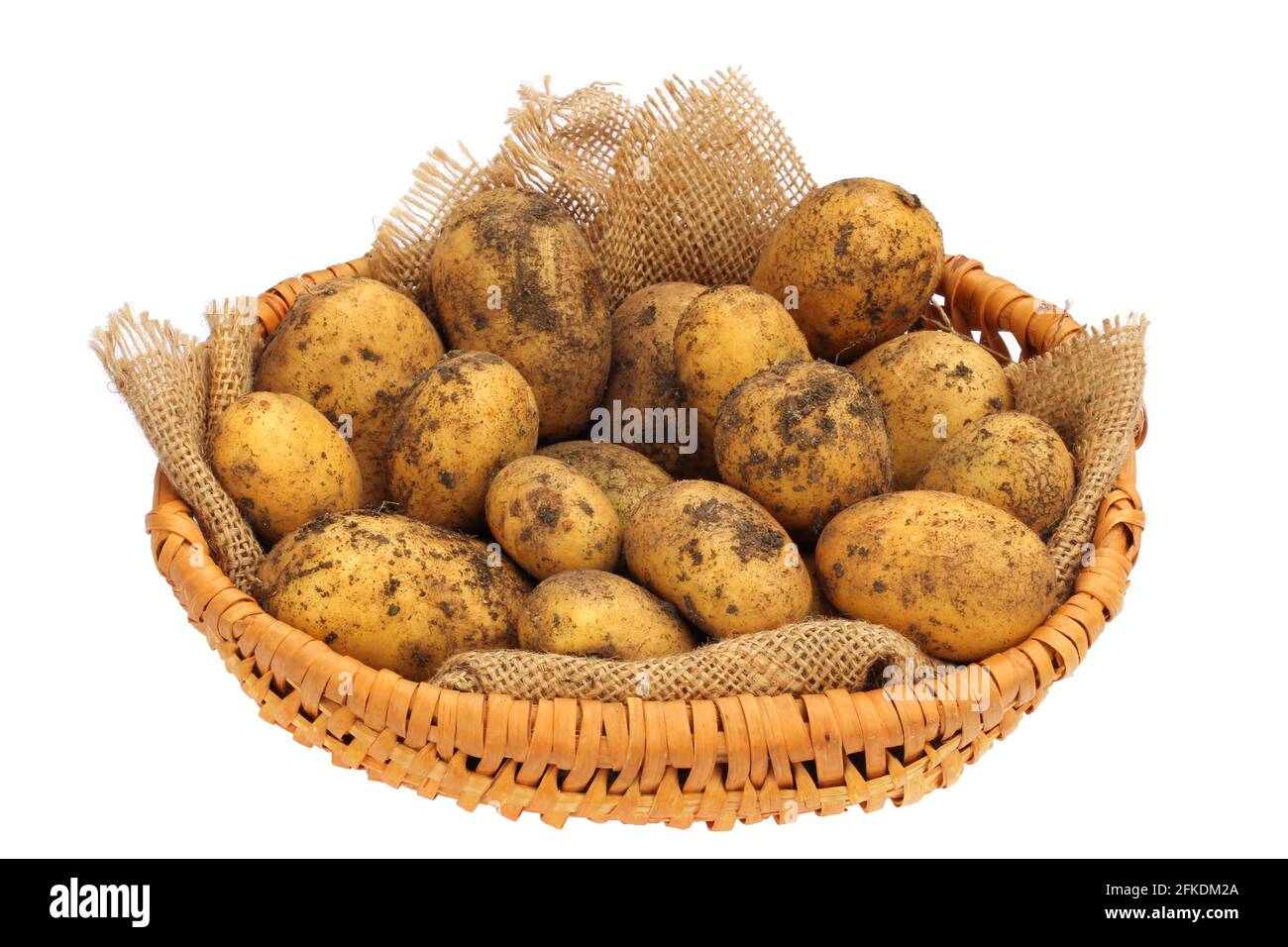 Ein Korb mit frisch geernteten Bio-Kartoffeln mit Erde darauf Stockfoto