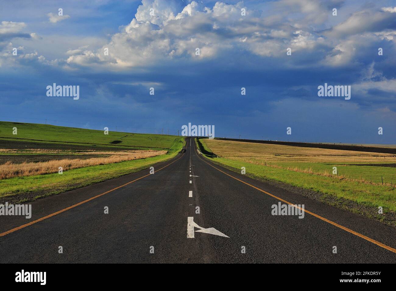 Südafrika bietet eine malerische Landschaft mit Teestandschaften, Zuckerrohrfeldern und Straßen, die durch Felder schneiden Stockfoto