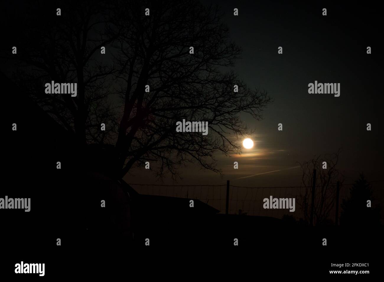 Vollmond- und Nachtlandschaft - Waldviertel, Österreich Stockfoto