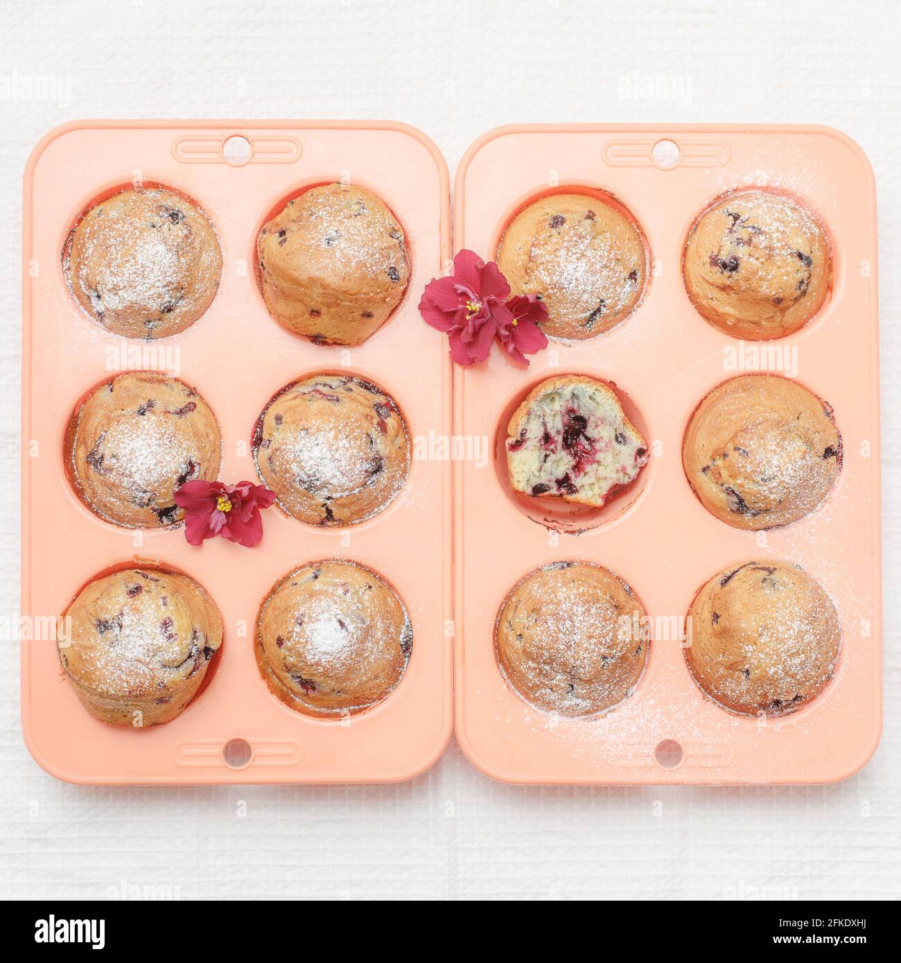 Frisch gebackene Muffins oder Cupcakes in rosa Silikon-Backformen, Draufsicht Stockfoto