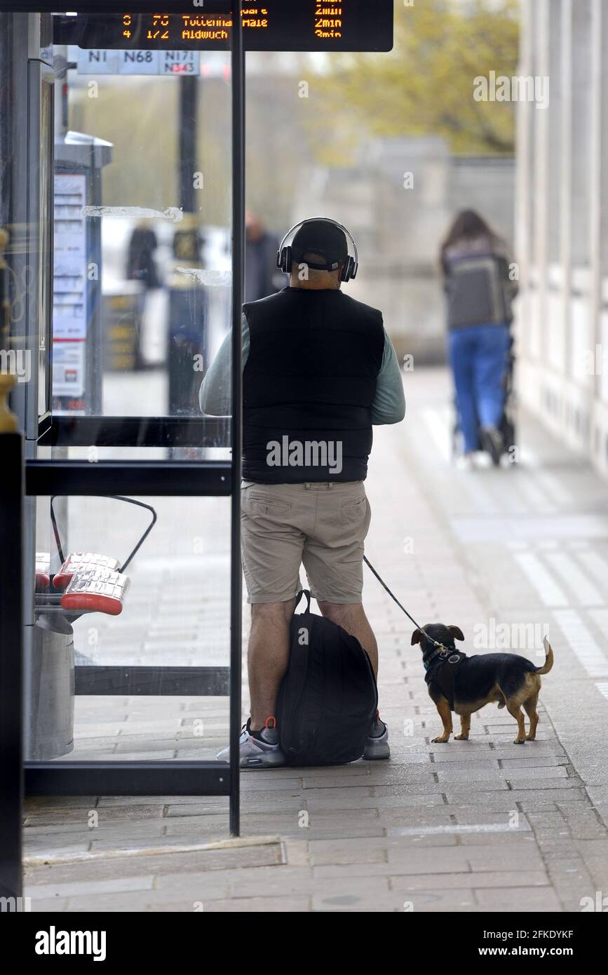 London, England, Großbritannien. Mann mit Kopfhörern, mit seinem Hund an einer Bushaltestelle Stockfoto