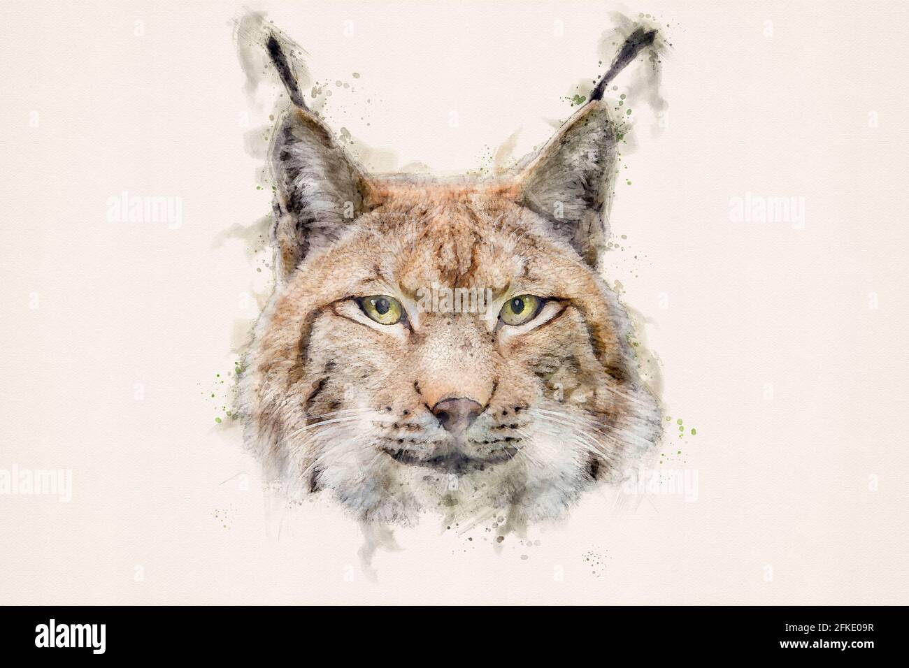 Lynx. Eurasischer Luchs (Luchs Luchs), Wildkatze oder Bobcat. Aquarelle, Aquarell-Illustration. Stockfoto