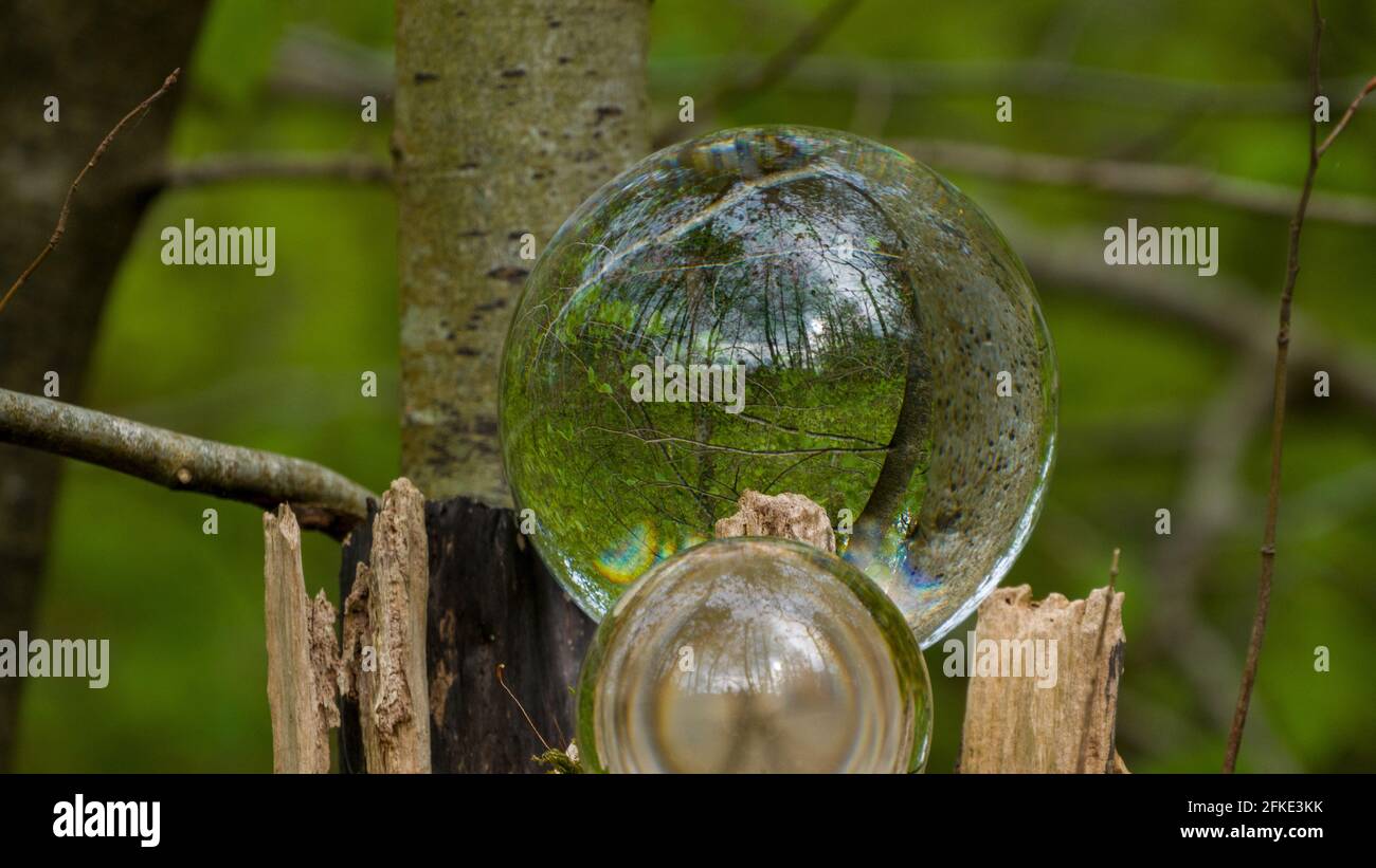 Blick auf den Wald durch Glaskugeln Stockfoto