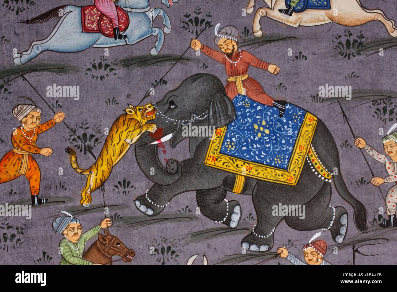 Rajasthani Miniaturmalerei aus Rajasthan, Indien. Wahrscheinlich Ende des 19. Jahrhunderts oder Anfang des 20. Jahrhunderts. Jagd nach Tigers. Ein Mann von Rang, der auf einem Elop montiert ist Stockfoto