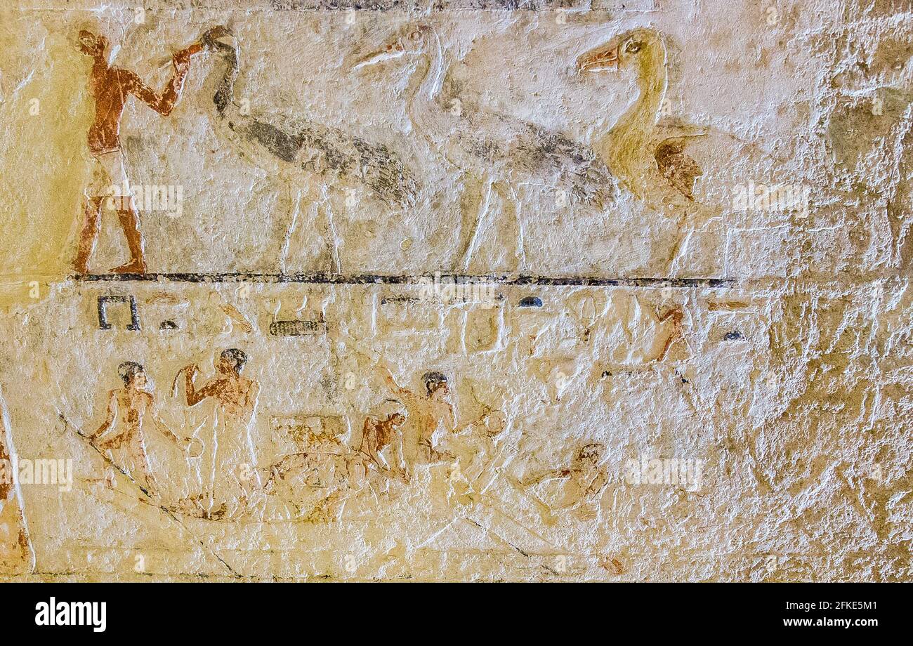 Ägypten, Guizeh, Grab der Königin Meresankh III., Enkelin von Kheops und Ehefrau von Khephren. Hauptraum, Ostwand, Geflügel und Barken. Stockfoto