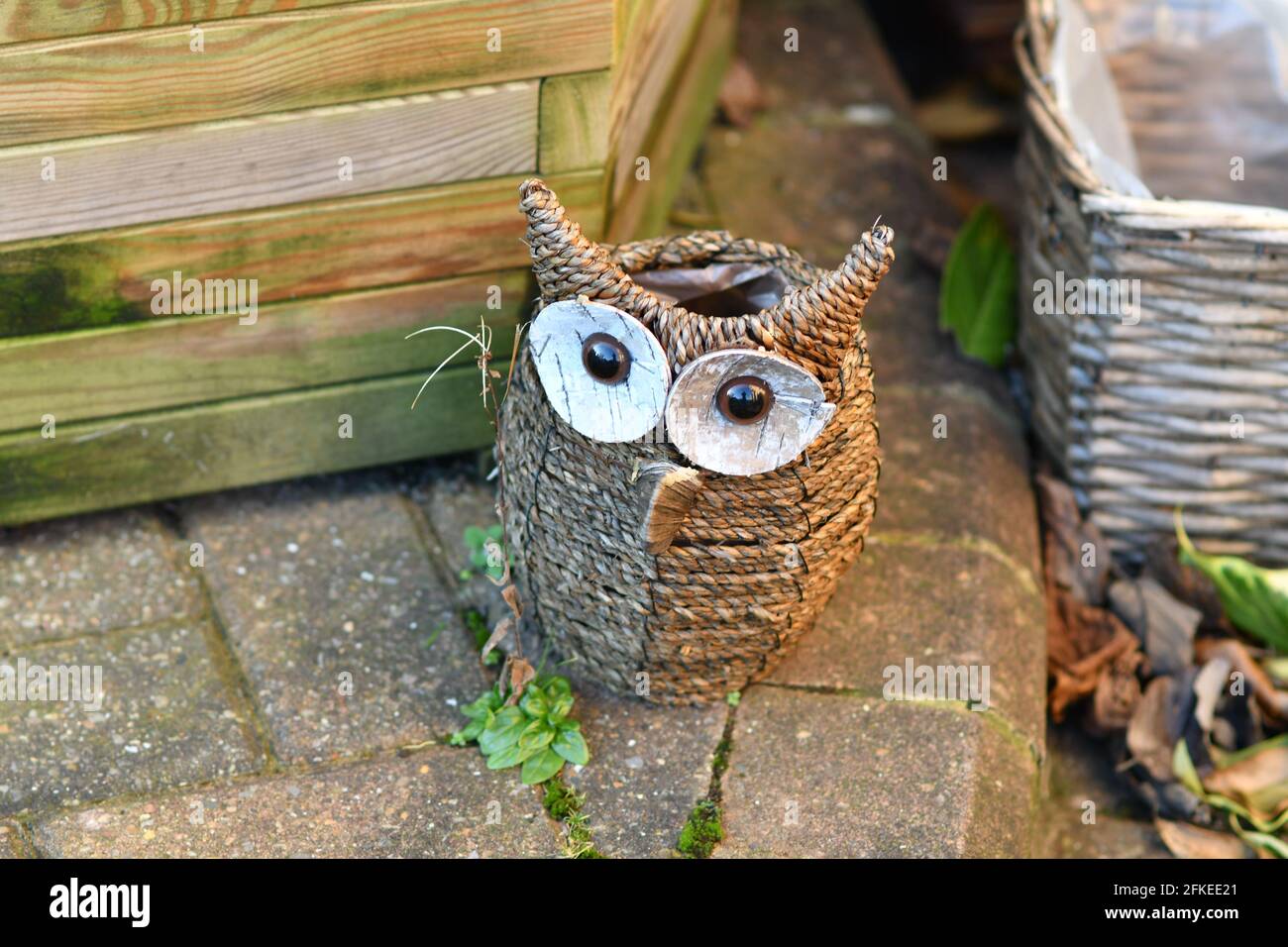 Garteneule im Garten. Stockfoto