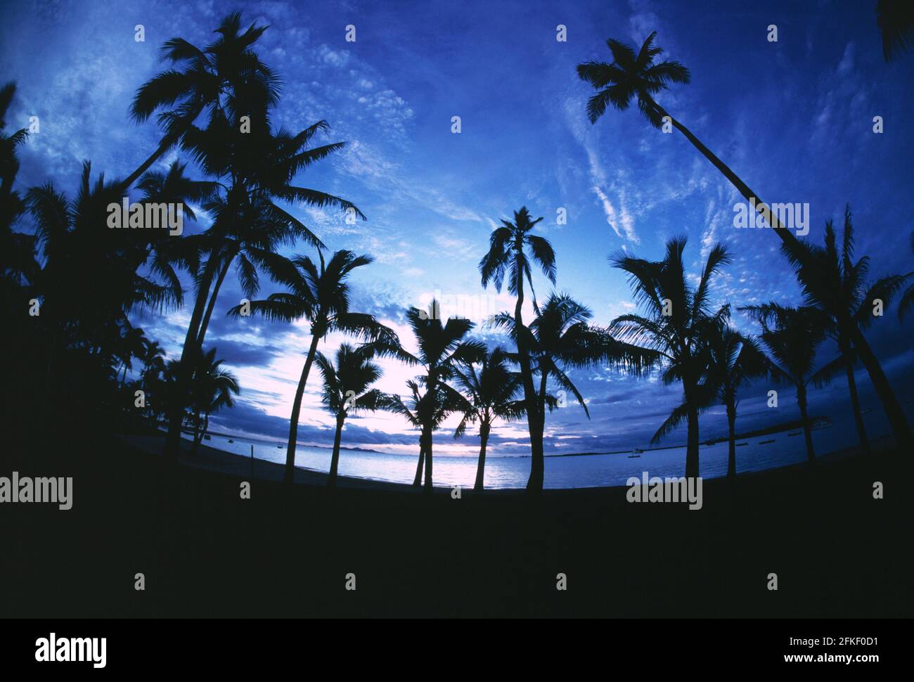 Fidschi. Strand mit Kokospalmen, der sich gegen den Abendhimmel abzeichnet. Stockfoto