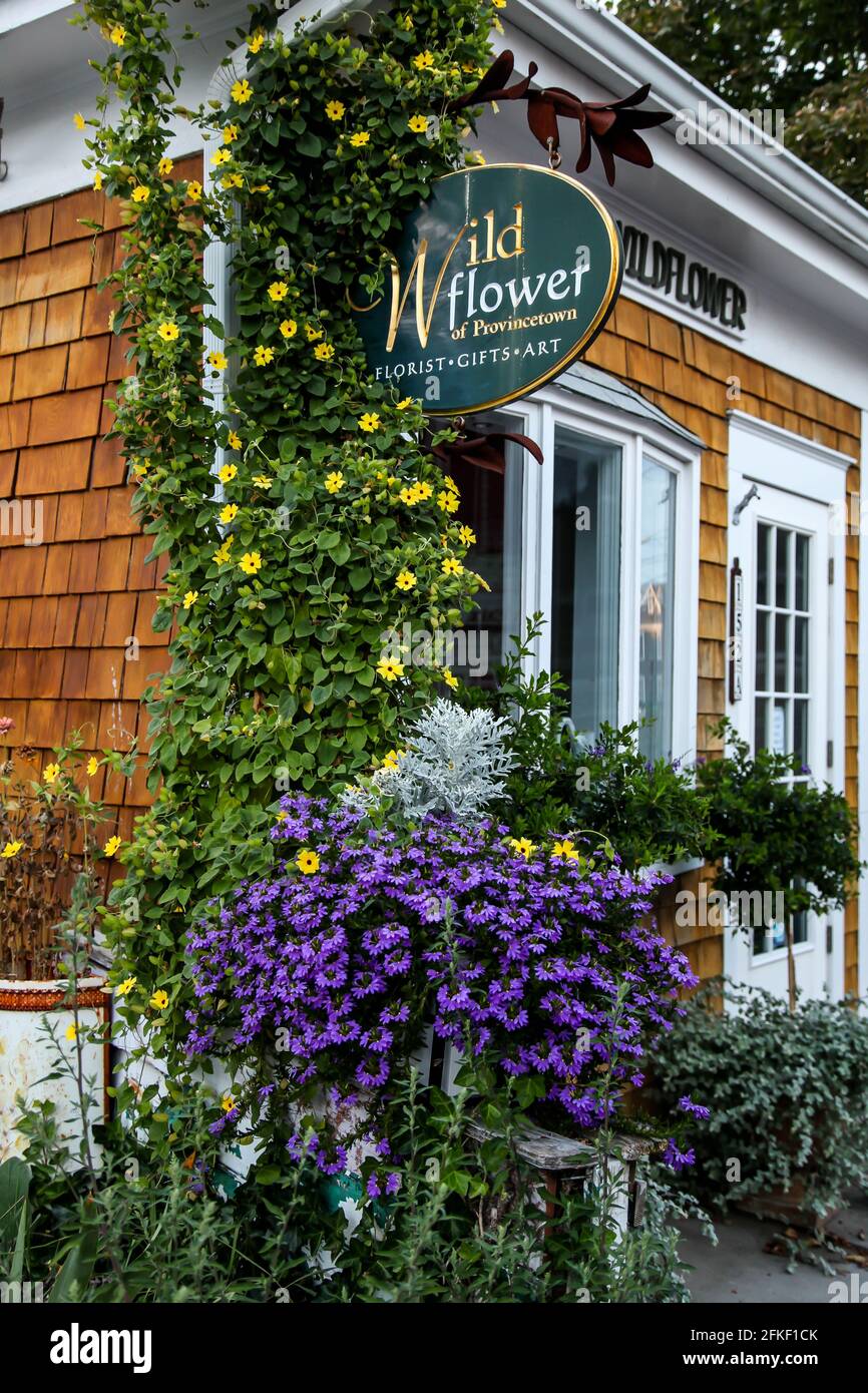 PROVINCETOWN, MASSACHUSETTS, USA - 14. SEPTEMBER 2014: Blumenladenschild mit Gebäudeteil n Provincetown Stockfoto