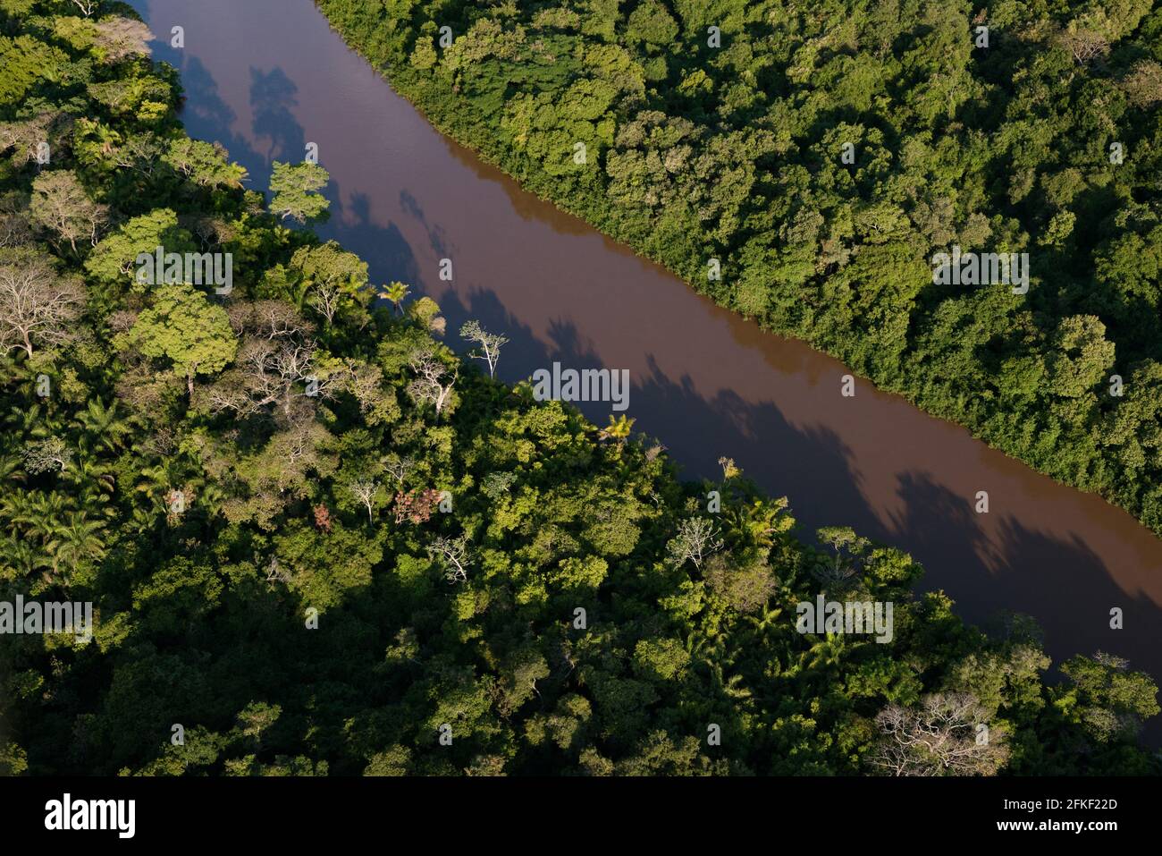 Der Aquidauana-Fluss, der durch den Wald in South Pantanal, Brasilien, fließt Stockfoto