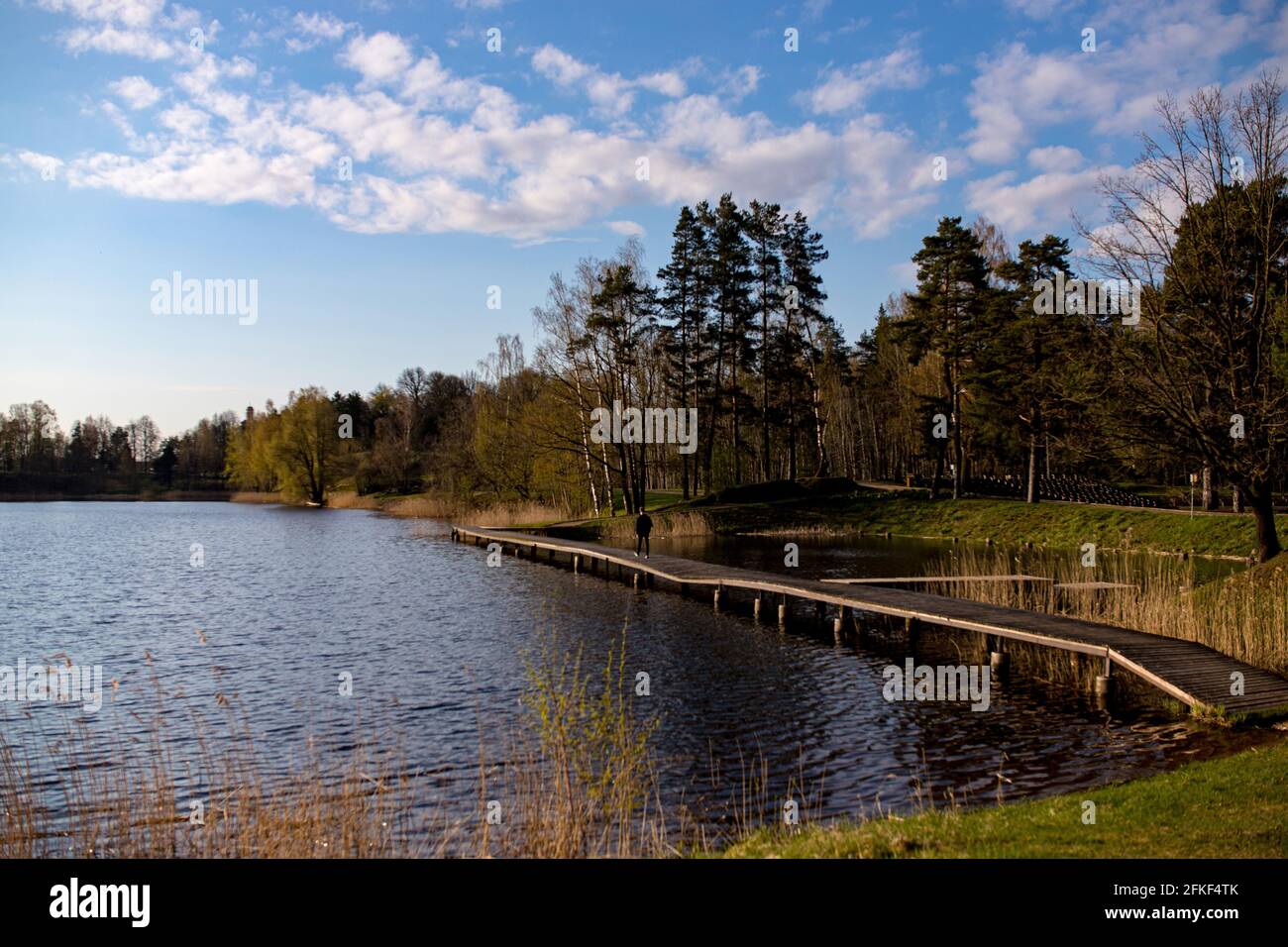 Der Fluss im Park. Fußgängerbrücke auf dem Fluss. Krumme Holzwege am Flussufer, wunderschöner wolkig Stockfoto