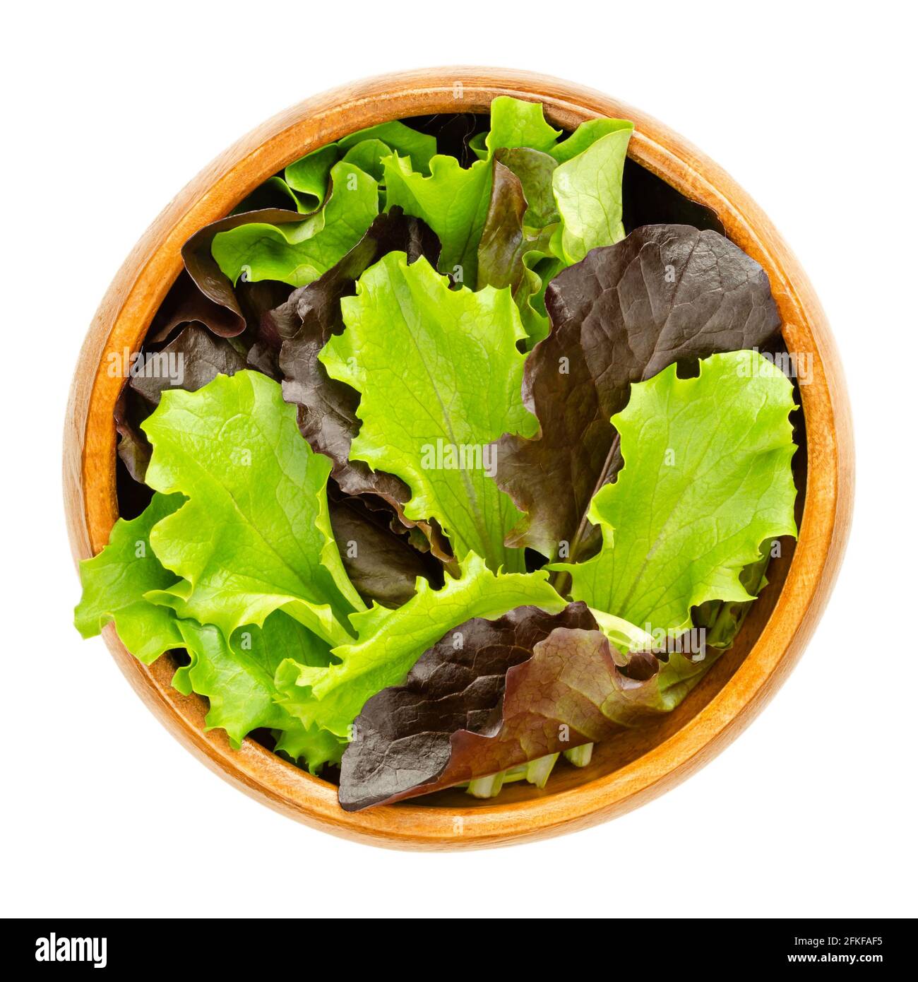 Lockerer Blattsalat in einer Holzschüssel. Frisch gepflückte grüne und rote Blätter von Zuckergalat, auch Pflücken- oder Looseleaf-Salat. Roh, biologisch, vegan. Stockfoto