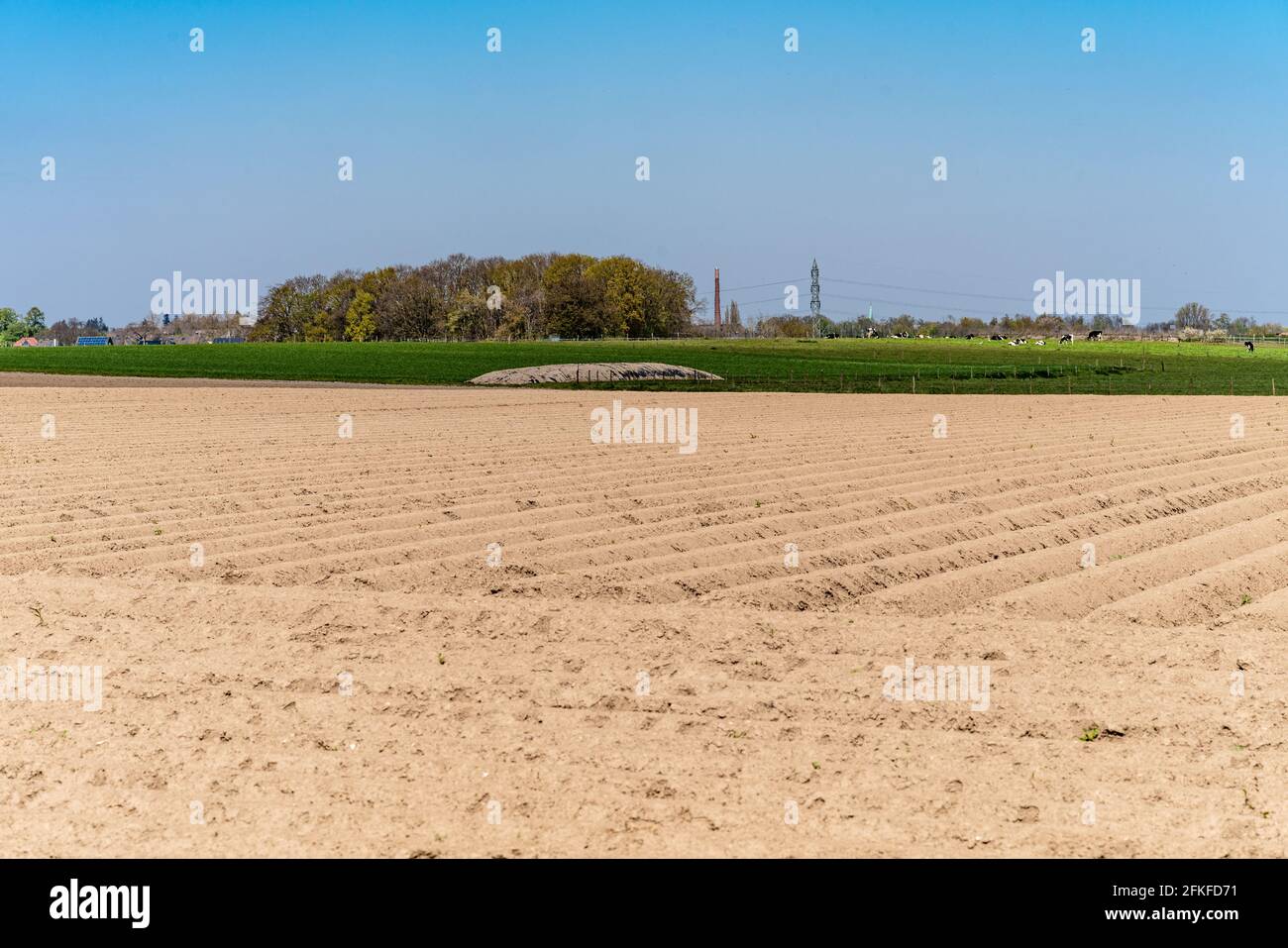 Blick auf die gepflügten Felder im Frühjahr zum Wachsen Stockfoto