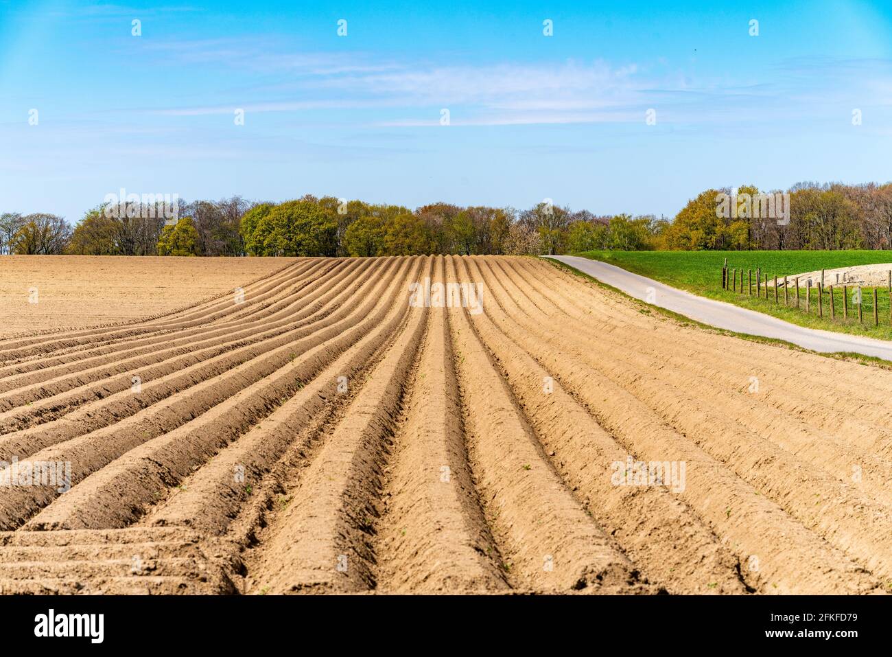 Blick auf die gepflügten Felder im Frühjahr zum Wachsen Stockfoto
