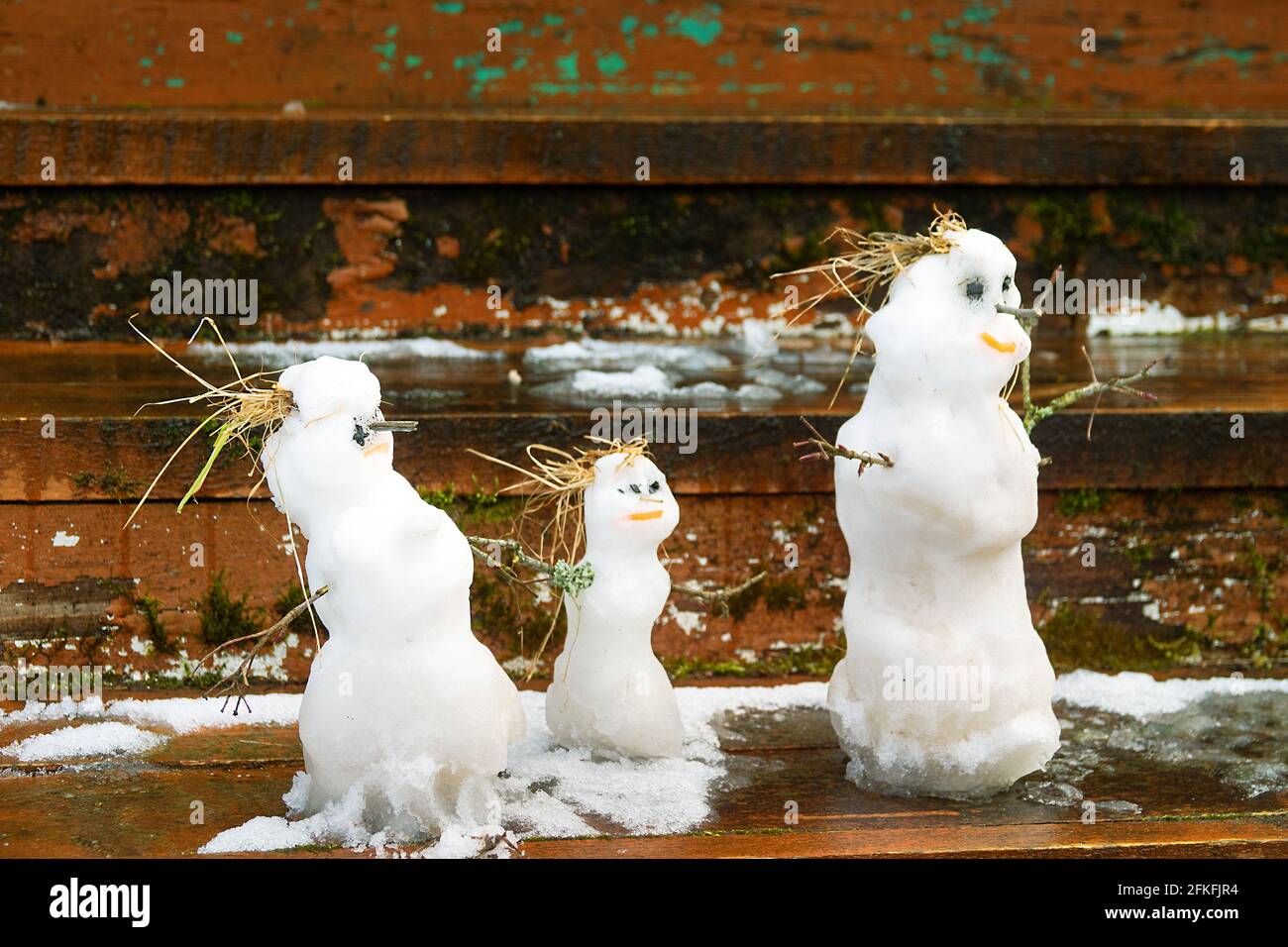 Winter-Frühling Geschichte der Schneemannfamilie: Schneemann-Vater, Schneemann-Mutter, Schneemann-Kind an der Schwelle eines Dorfhauses Stockfoto