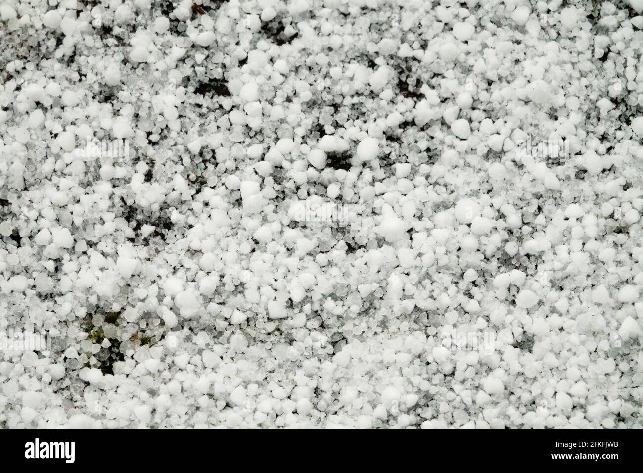 Graupel Stockfotos Und Bilder Kaufen Alamy