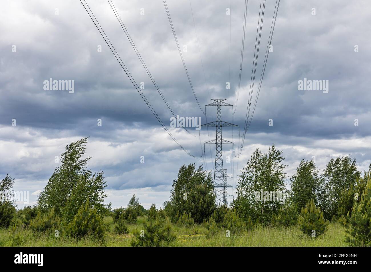 Moody Himmel über Wiese und Stromleitung Stockfoto