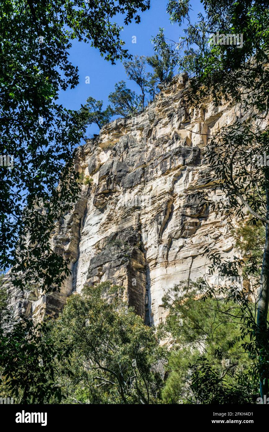 Felswand in Carnarvon Gorge, Carnarvon National Park, Maranoa Region, Central Queensland, Australien Stockfoto
