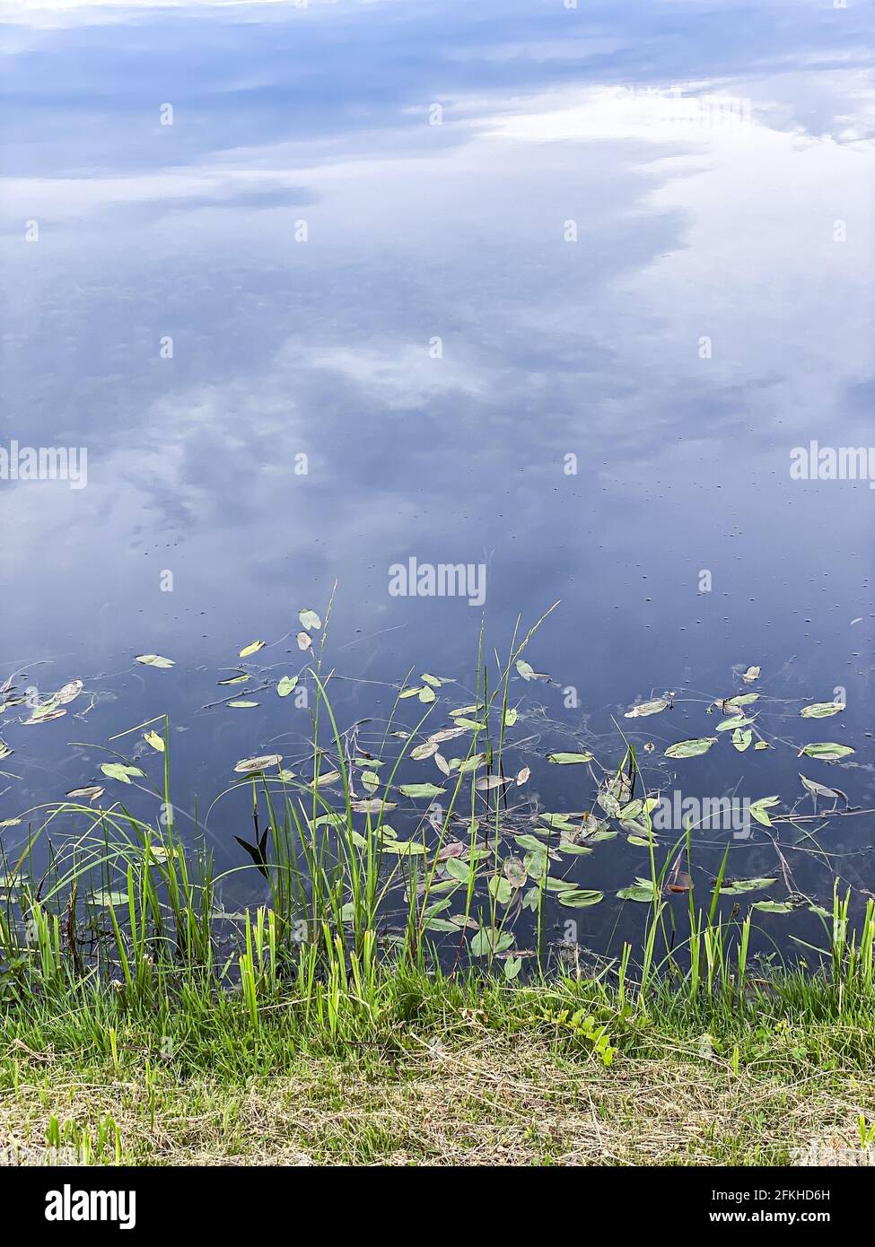 Wolken in blauem Himmel mit Spiegelung in ruhigem Wasser Kleiner Teich am Sommertag Stockfoto