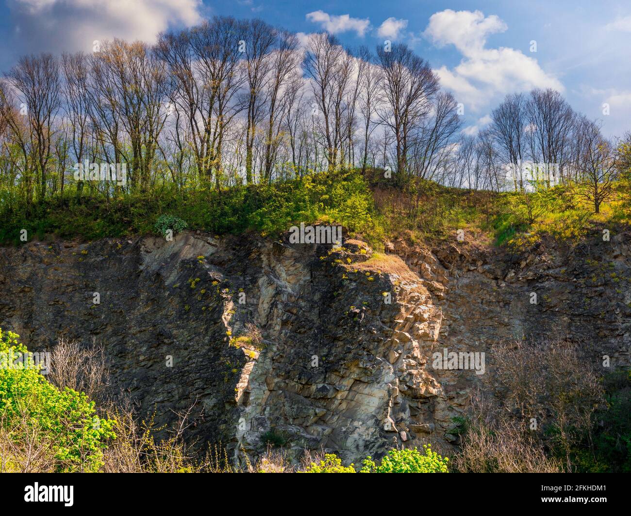Bäume ohne Blätter auf einem von beleuchteten Felsen Die Sonne Stockfoto