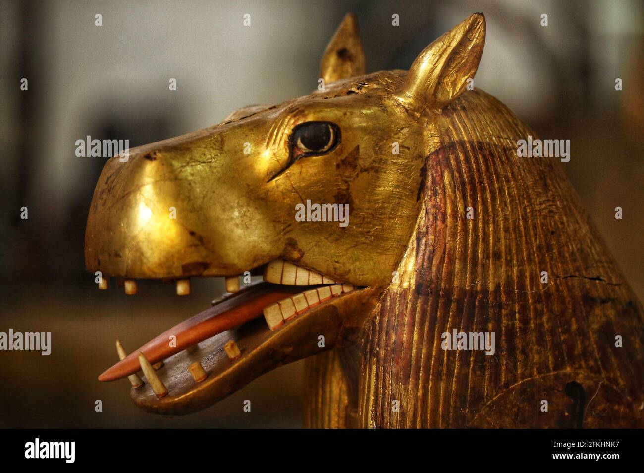 Ägyptische Museumsstücke Stockfoto