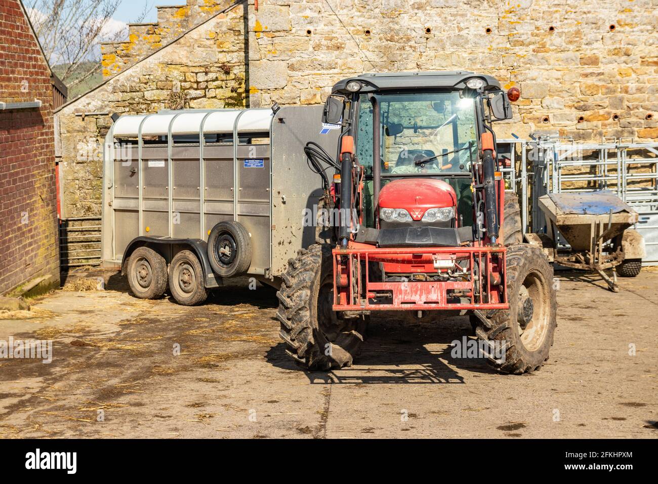 Massey Fergusson Traktor und Viehanhänger auf dem Bauernhof in Northumberland Stockfoto