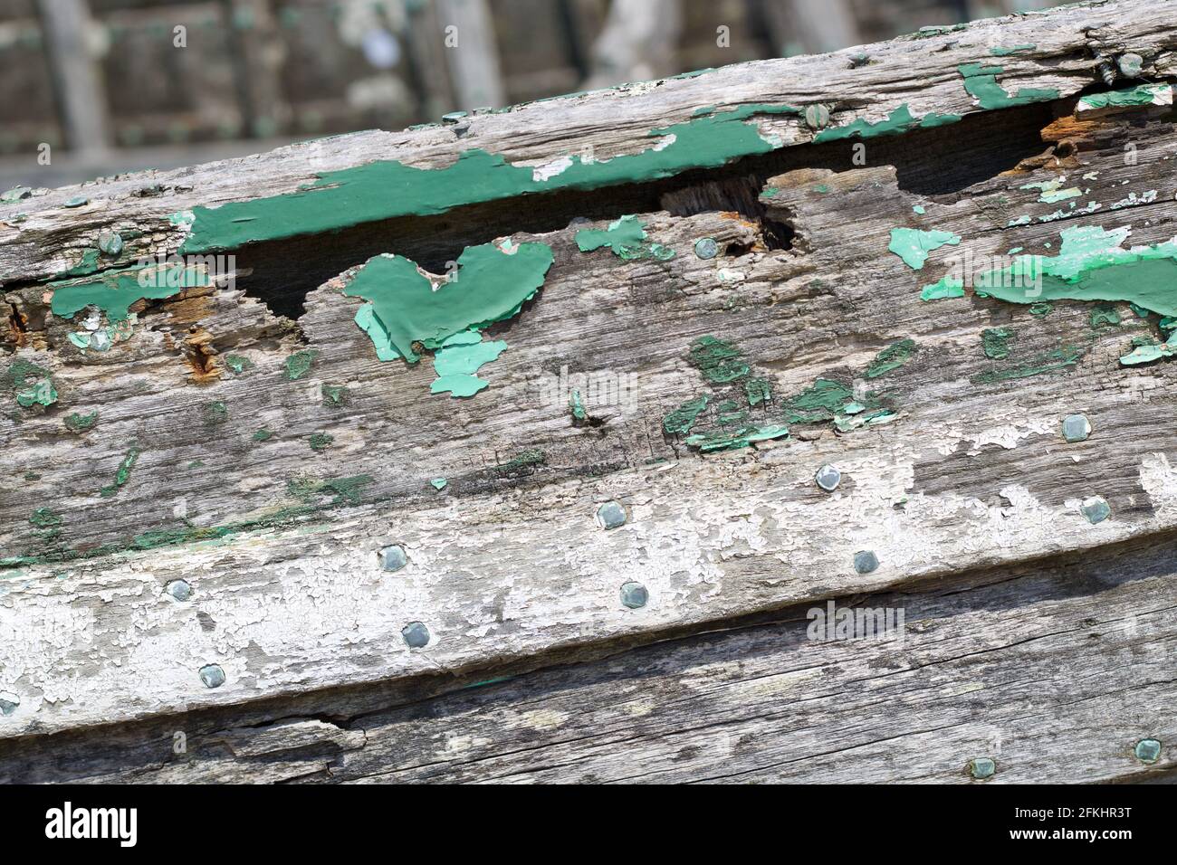 Abschnitt des verfallenden Holzes des verrottenden Bootes mit abblätternder grüner Farbe. Hochwertige Fotos Stockfoto