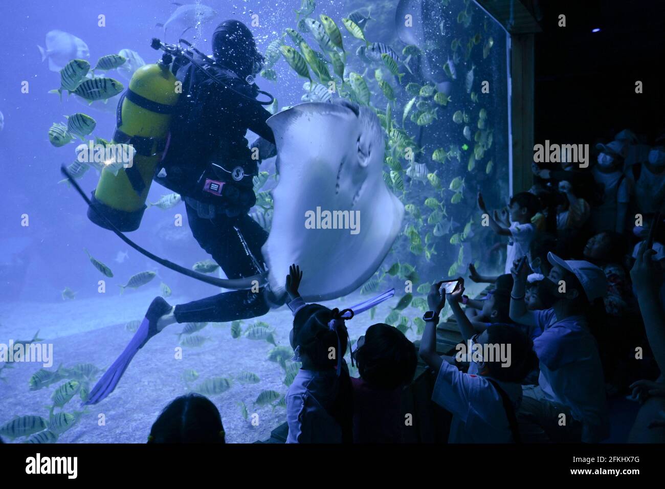 Fuzhou, Chinas Provinz Fujian. Mai 2021. Kinder sehen eine interaktive Show in der Zuohai Marine World in Fuzhou, der Hauptstadt der südöstlichen Provinz Fujian, am 2. Mai 2021. Quelle: Song Weiwei/Xinhua/Alamy Live News Stockfoto
