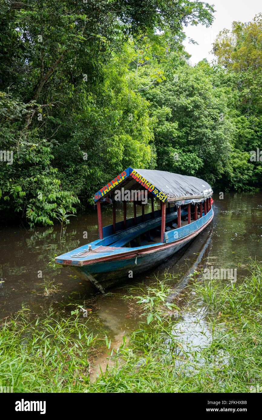 Indigene Bora Stamm des peruanischen Amazonas Stockfoto