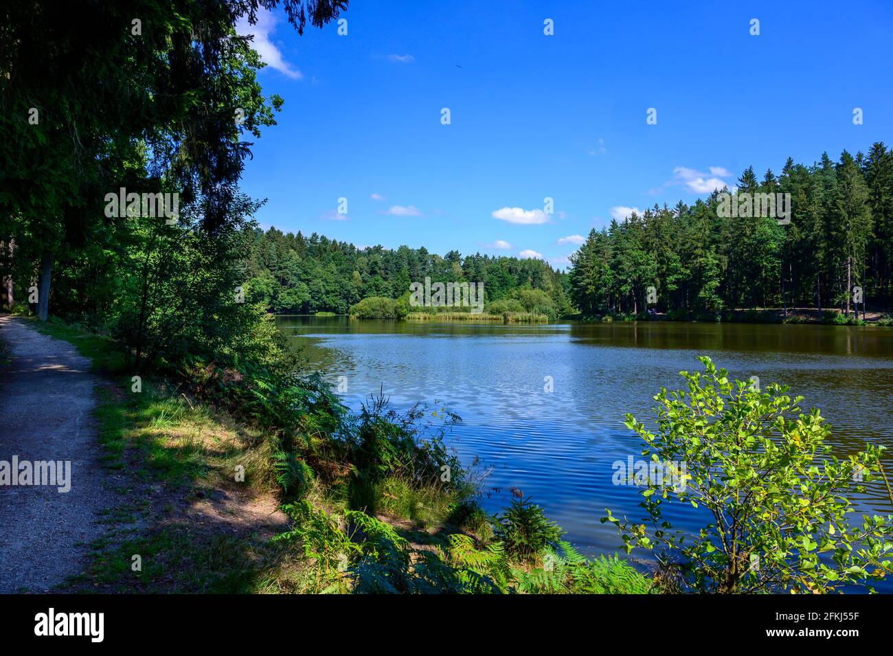 Ein schattiger Wanderweg entlang eines natürlichen Seeufers in einer idyllischen Landschaft umgeben von Nadelbäumen. Stockfoto