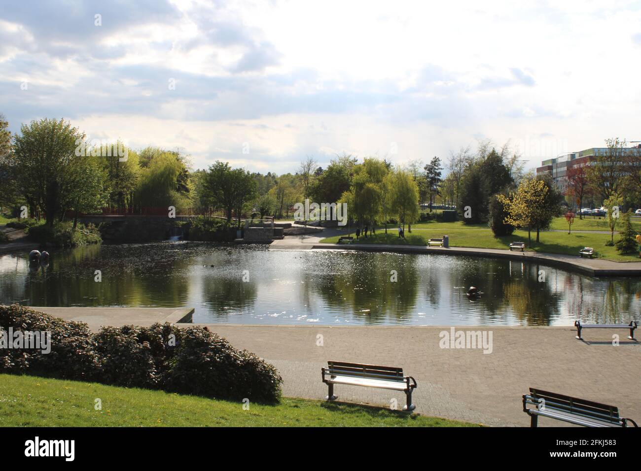 Sean Walsh Memorial Park Lake. Der perfekte Ort, um Ihre Freizeit zu verbringen und die Ruhe und einige Schwäne und Vögel zu genießen. Tallaght sieht im Frühling wunderschön aus. Stockfoto