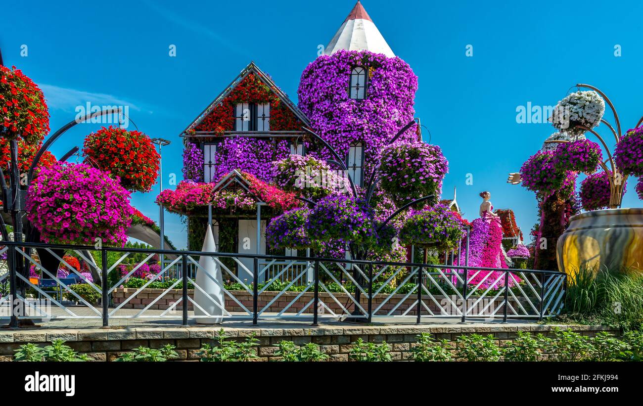 Dubai Miracle Garden - Megaparc in den Vereinigten Arabischen Emiraten Stockfoto
