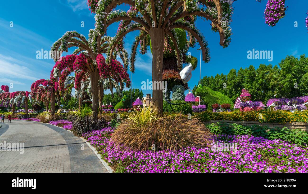 Dubai Miracle Garden - Megaparc in den Vereinigten Arabischen Emiraten Stockfoto