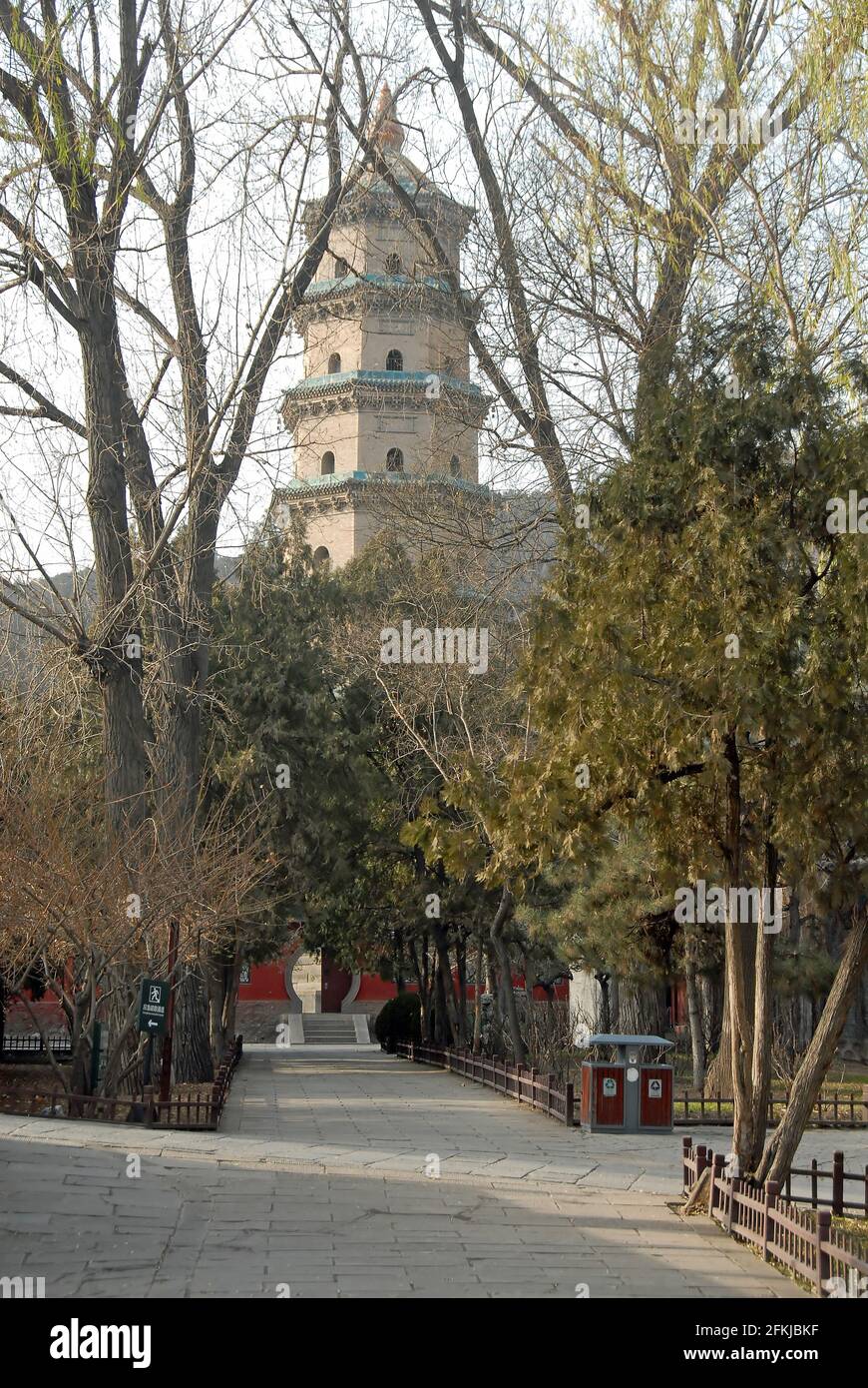 Jinci Tempel in der Nähe von Taiyuan, Shanxi, China. Blick auf die Pagode des Jinci-Tempels vom Tempelgarten aus mit Bäumen und Pfaden im Vordergrund. Stockfoto
