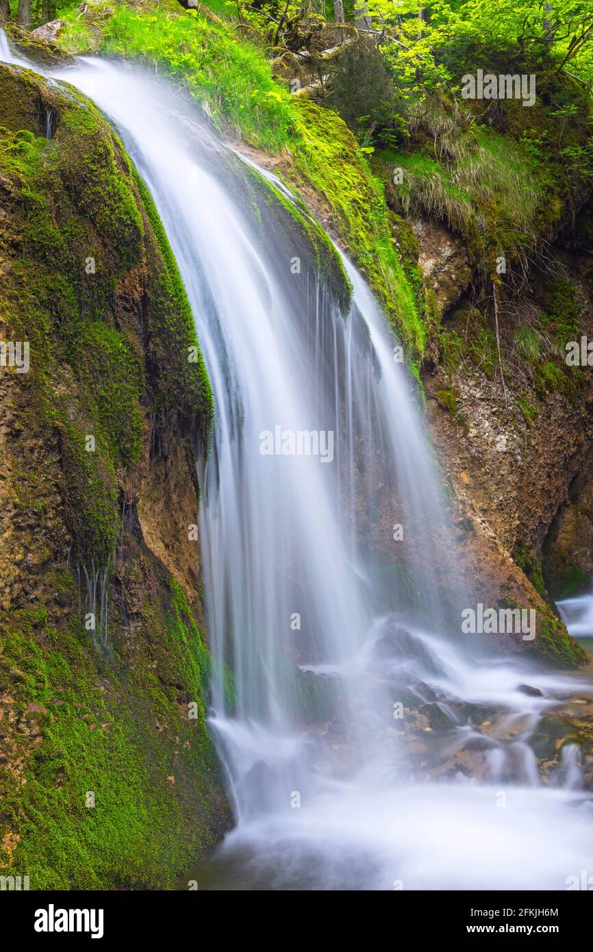 Kleiner Wasserfall mit Felsen und grünem Moos bei Gunzesried. Allgäu, Bayern, Deutschland Stockfoto