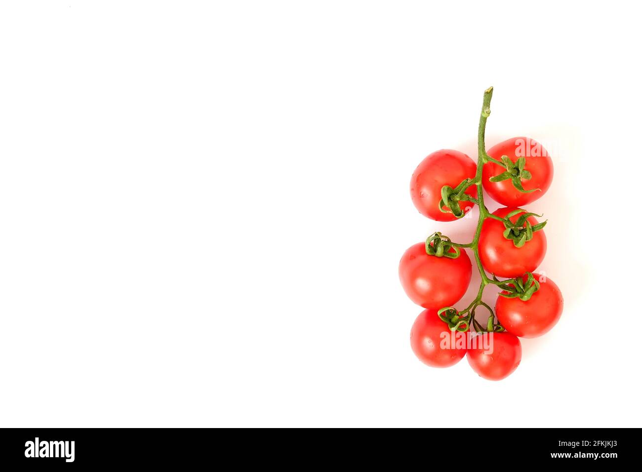 Zweig von saftigen Bio-Tomaten rote Kirsche in Reihe auf isolierten weißen Hintergrund angeordnet. Poliertes Gemüse. Sauberes Esskonzept. Vegetarische Kost. Stockfoto