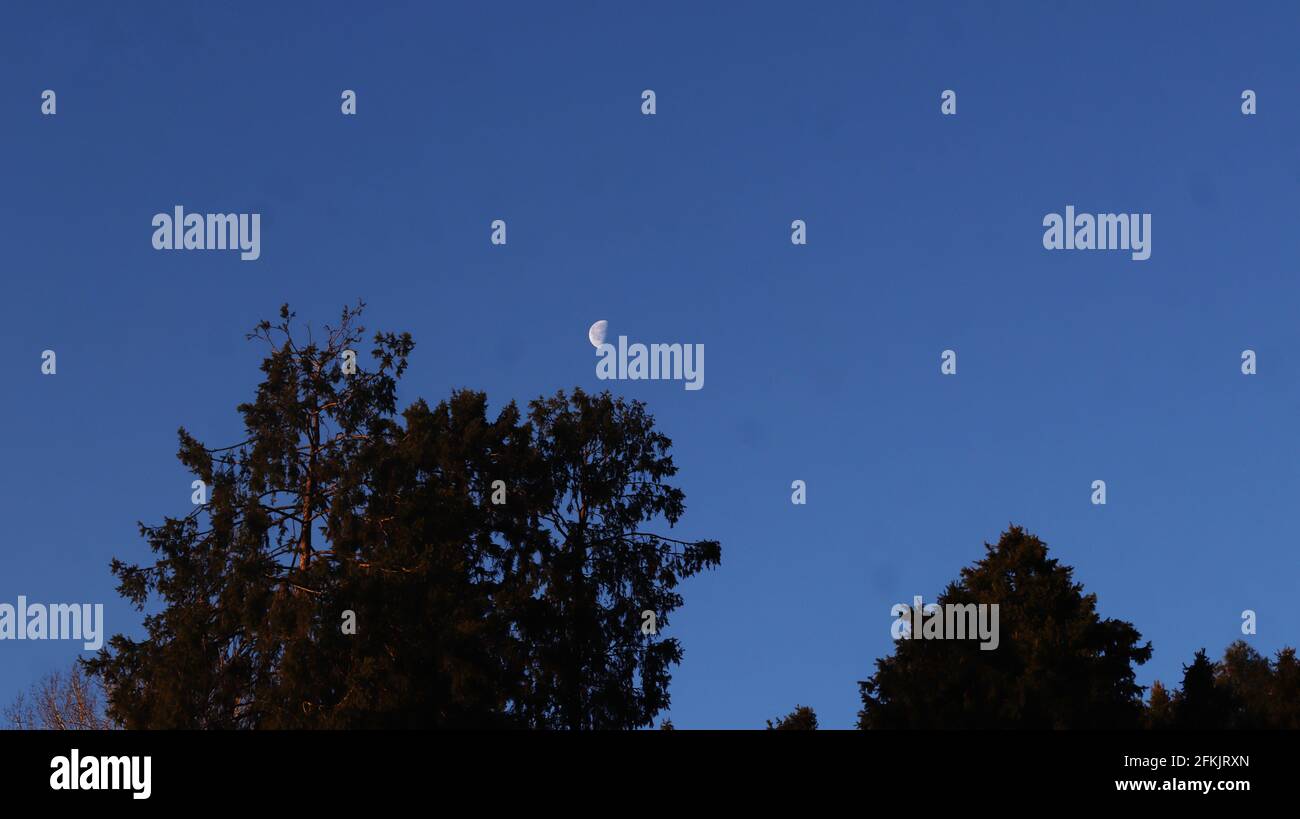 Mond am Tageshimmel Stockfoto