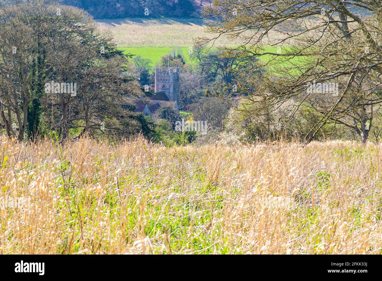 Kirschblüten und Narzissen im historischen Dorf Hambledon, Buckinghamshire, England Stockfoto