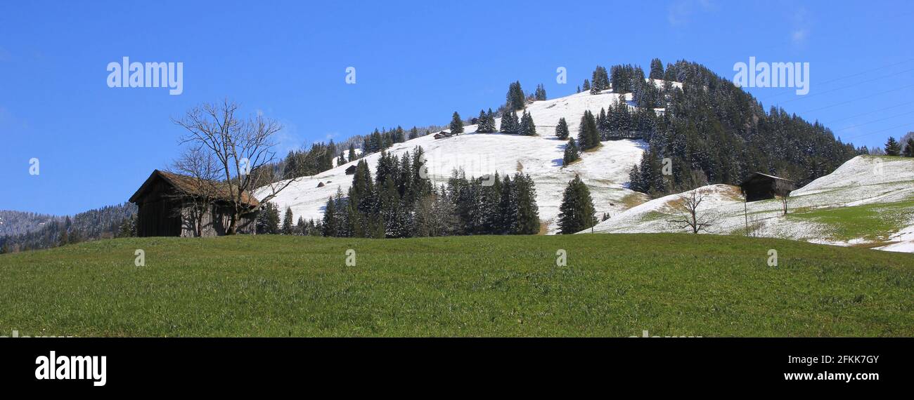 Grüne Wiese und schneebedeckte Hügel in Gsteig bei Gstaad. Stockfoto