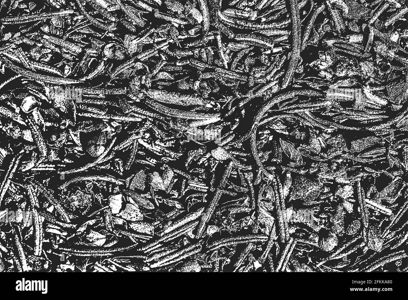 Verzweifelte Overlay-Textur von Bohnen-Schoten, Pflanzenstämmen, trockenen Blättern. Grunge schwarz und weiß Hintergrund. Abstrakte Halbton-Vektor-Illustration Stock Vektor
