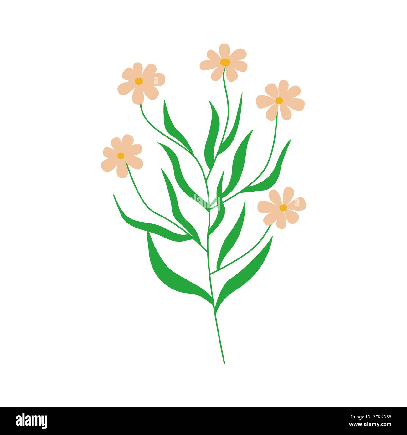 Kamillenblüten. Zweig mit mehreren Blumen Gänseblümchen. Farbenfrohe, handgezeichnete Vektorgrafik Stock Vektor