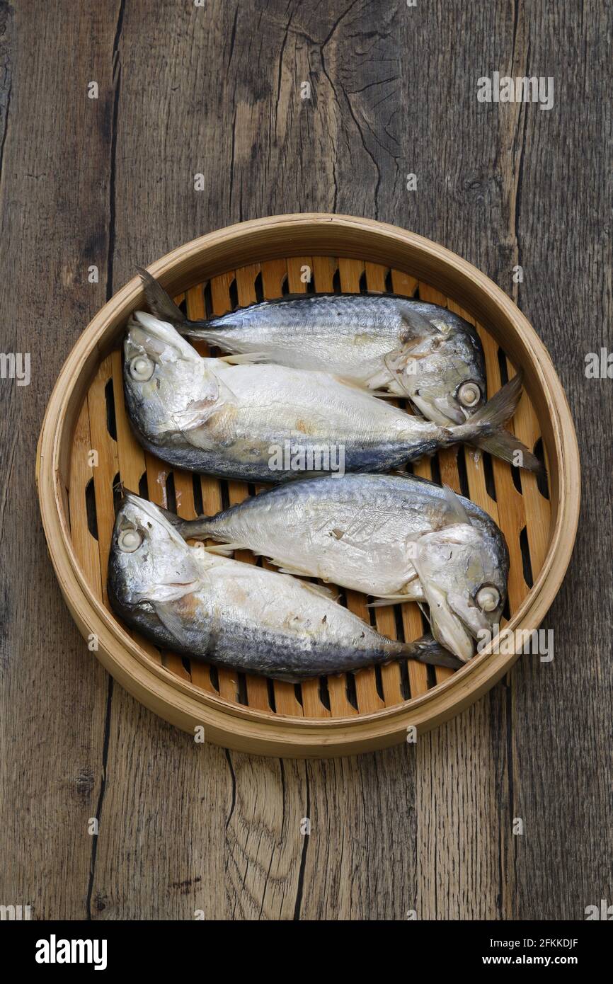 Gedämpfte, kurze Makrele, thailändische Küche Stockfoto