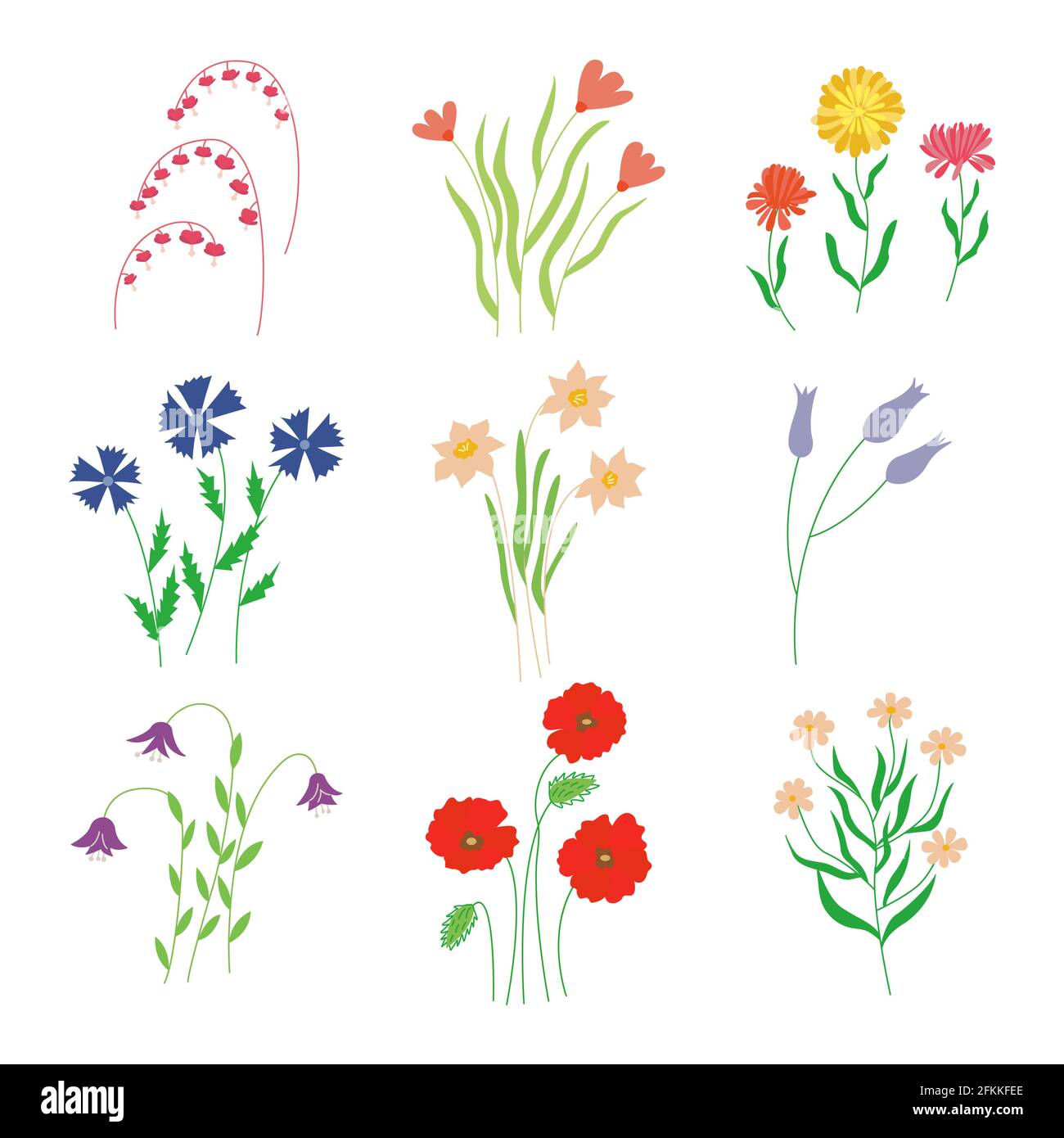 Set aus wilden Wiesen und Gartenblumen. Bunte handgezeichnete Vektor isolierte Illustration Stock Vektor