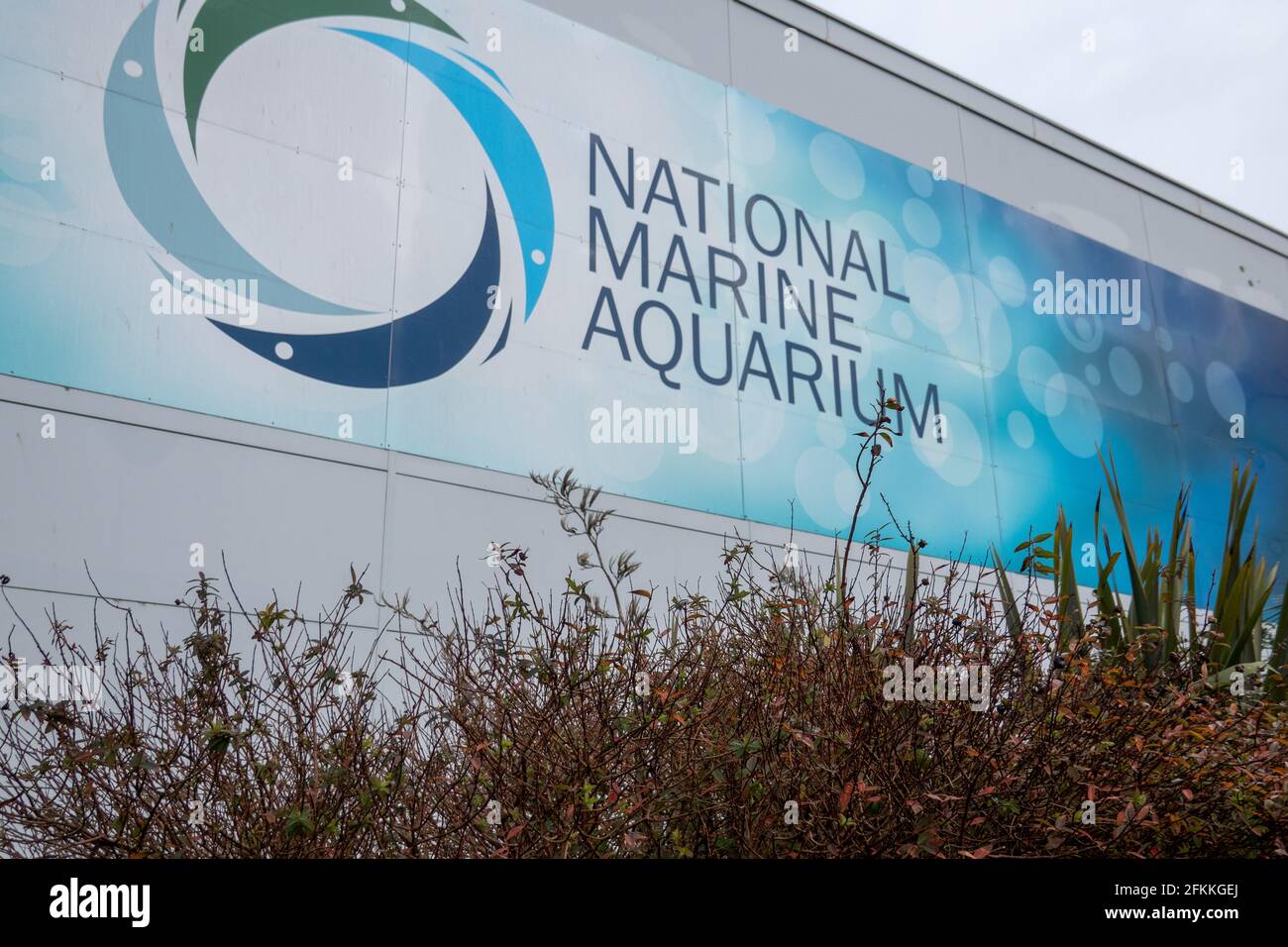 National Marine Aquarium, Plymouth Devon Stockfoto