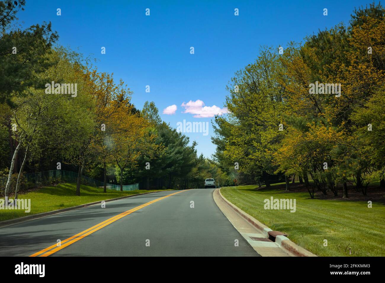 Straße an einem sonnigen Frühlingstag, USA Land, vorbei durch Frühling frischen Laubbäumen, Texas, UniRed Staaten Amerika Stockfoto